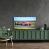 Thomson 50QG7C14 TV 127 cm (50) 4K Ultra HD teler Wi-Fi must