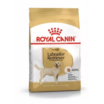 Kuiv koeratoit Royal Canin Labrador Retriever Adult 12 kg — linnuliha, 30% valku, 13% rasva