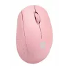 NATEC STORK hiir Kodu Mõlemakäeline RF juhtmevaba + USB Type-A Optiline 1600 DPI