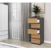 Kummut Top e Shop W5 ANT/ART, 5 sahtlit, antratsiit/tamm, puitlaastplaat