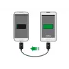 USB-kaabel DeLOCK 83570 USB 2.0 0,3 m USB B Must