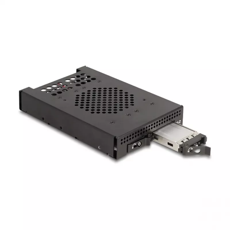 SSD korpus DeLOCK 47117 3.5-tolline mobiilraam kahele M.2 NVMe SSD-le