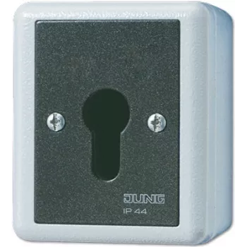 Võtmega lüliti JUNG 806.28 G — 2P, juhtmega, 250 V AC, 16 A, must/valge