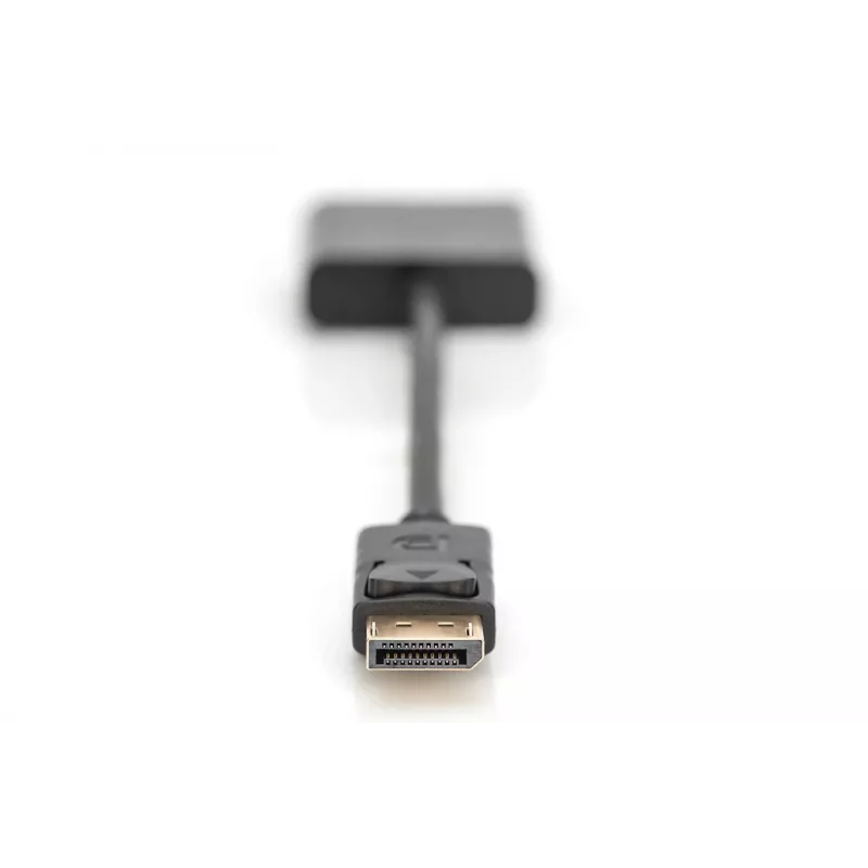 Digitus DisplayPorti adapter/konverter