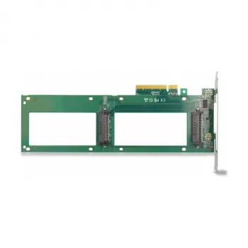 DeLOCK PCI Express 4.0 x8 kaart -> 2 sisemist U.2 NVMe SFF-8639 Bifurkatsioon