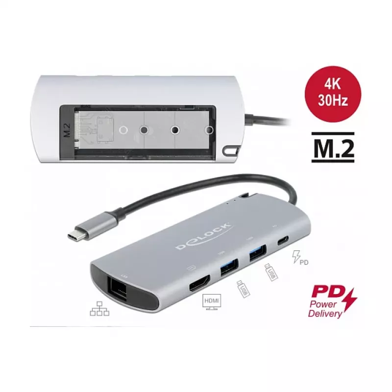 Dokkimisjaam DeLOCK USB-C dokkimisjaam M.2 pesaga