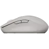 CANYONi hiir MW-12 Dual band Wireless hall