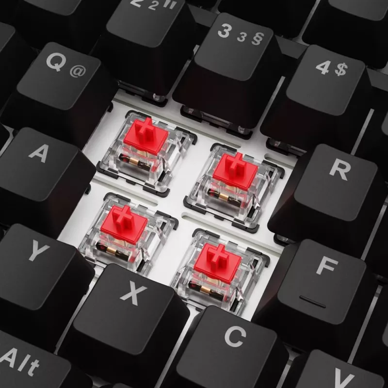 Sharkoon SGK25 klaviatuur Kodu USB QWERTZ Saksa Must 75% RGB LED