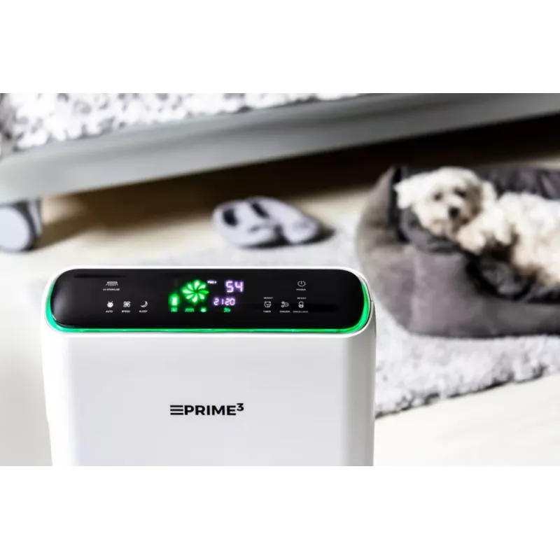 Õhupuhasti Prime3 SAP81
