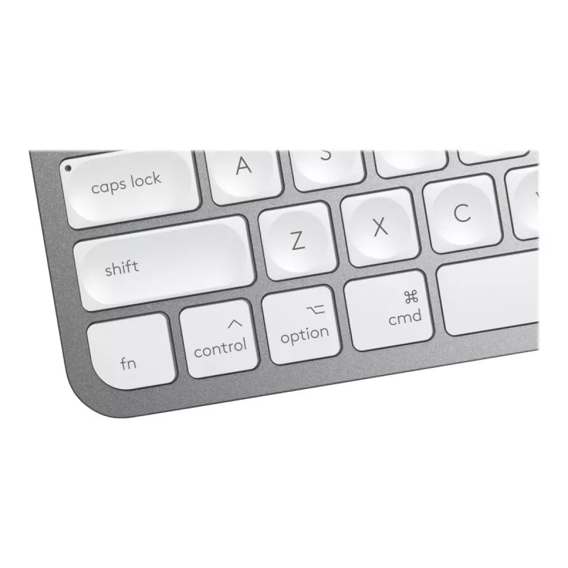 Klaviatuur MX Keys Mini Mac Pale 920-010526 hall