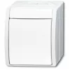 BUSCH-JAEGER Wipptaster/Schliesser 2621W-54 ocean alpinweiss 2621W-54 (1484-0-0380)