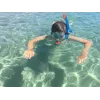 Schildkröt Funsports Barbados