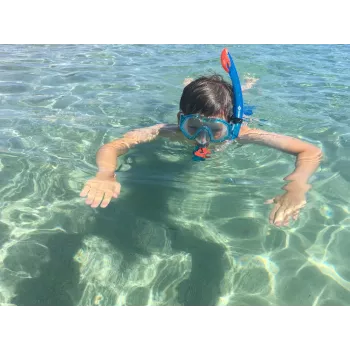 Schildkröt Funsports Barbados