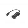 Videokaabli adapter Lanberg AD-UC-DP-01