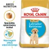 ROYAL CANIN SHN Breed Labrador Junior kuiv koeratoit - 12 kg