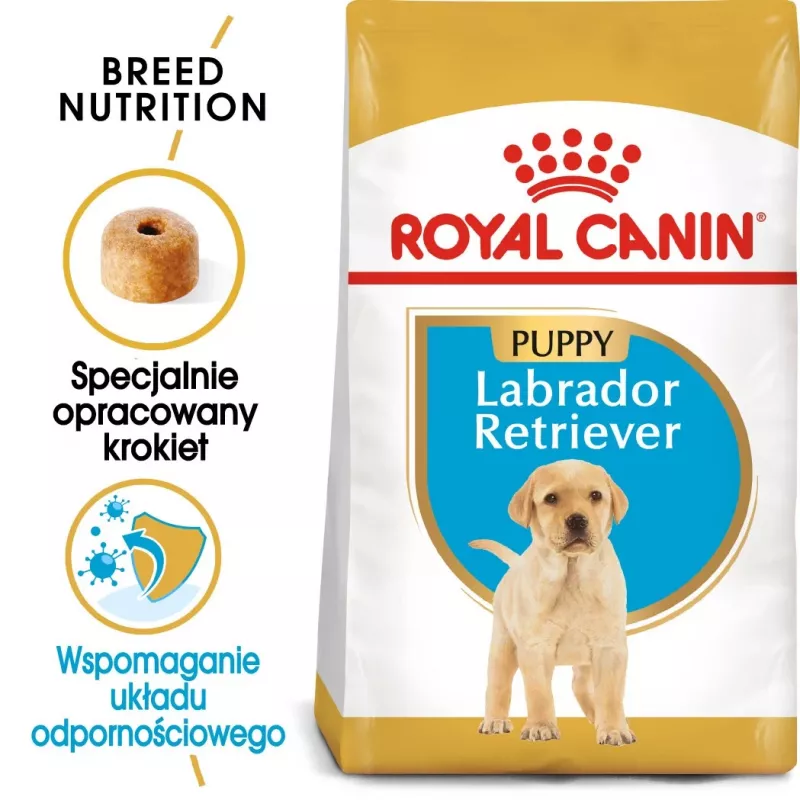 ROYAL CANIN SHN Breed Labrador Junior kuiv koeratoit - 12 kg