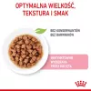 Märg kassitoit Royal Canin Sterilised Gravy, 12 x 85 g kotikest — kana, steriliseeritud/kastreeritud kassipoegadele, 11% valku, 80,5% niiskust