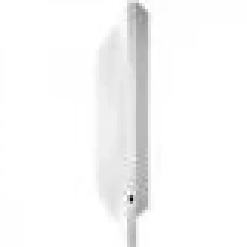 Grandstream Networks GWN7660 wireless access point 1770 Mbit/s Valge Võimsus over Ethernet (PoE)