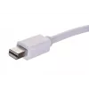 Videokaabli adapter SAVIO Mini DisplayPort (isane) HDMI tüüp A (emane) 0,2 m, valge
