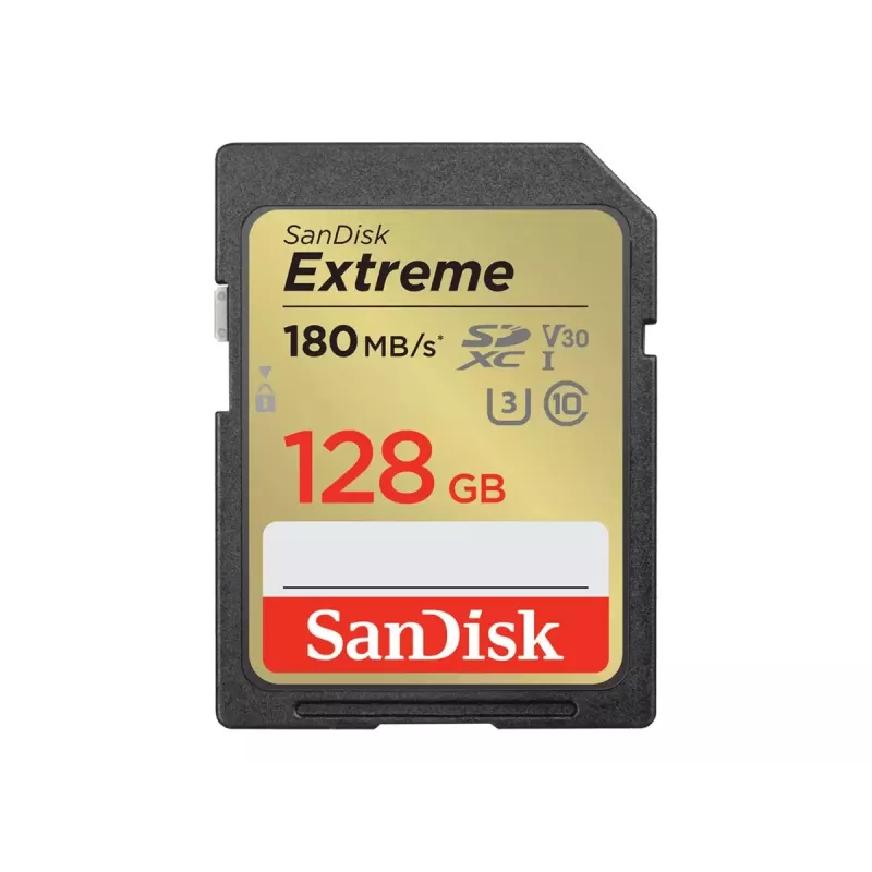 Mälukaart SDXC 128GB UHS-1/SDSDXWA-128G-GNCIN Sandisk