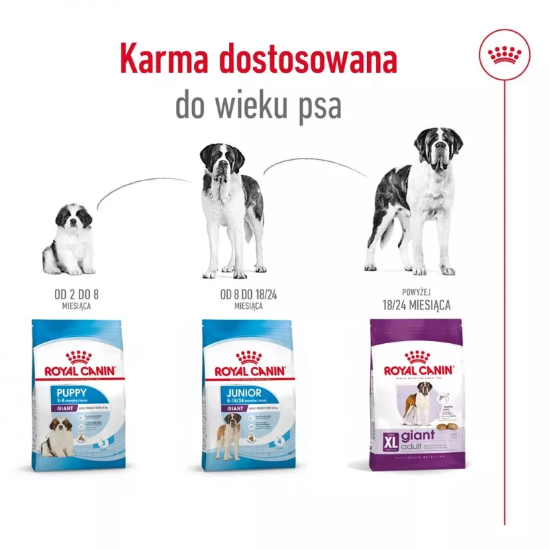 ROYAL CANIN Giant Adult - kuiv koeratoit - 15 kg