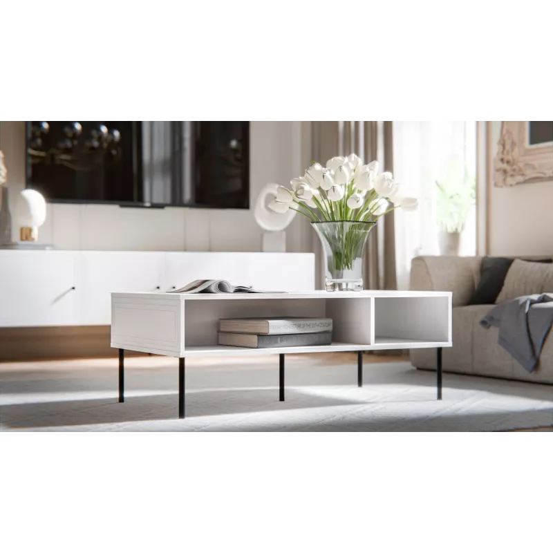 PALAZZO BIS table/latrine 110x60x40 valge matt