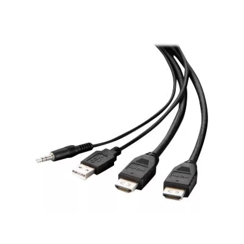 Belkin Secure KVM Combo kaabel - Video- / USB- / Audio-kaabel - TAA-vastav - USB, Mini-Pistik, HDMI (M)
