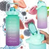 Extralink motiveeriv pudel, 2000 ml, roheline-lilla, BUT-190