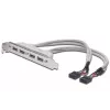 Pilupesa kaabel USB 2.0 HighSpeed tüüp 2xIDC (5pin)/4xUSB A M/F hall 0,25 m