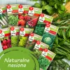 TORAF Spring Flavors Seed Set - 12 Packets