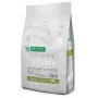 Kuiv koeratoit nature’s protection Superior Care Valge Dogs Grain Free Junior Small 10 kg — Kala, Valk 26%, Rasv 15%
