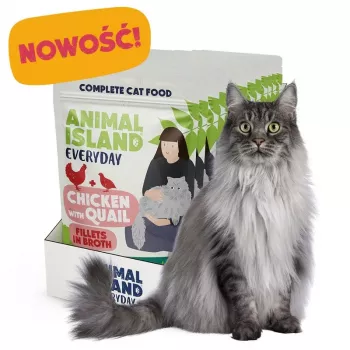 ANIMAL ISLAND Kana vutifilee puljongis - märg kassitoit - 12x85g