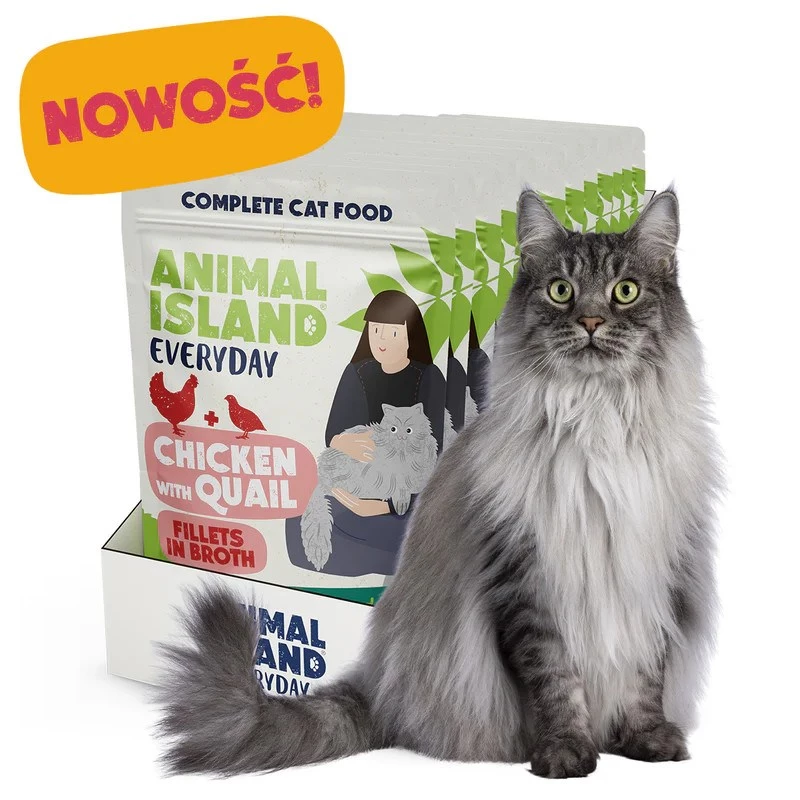 ANIMAL ISLAND Kana vutifilee puljongis - märg kassitoit - 12x85g