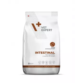 VET EXPERT Veterinary Diet Intestinal Dog - kuiv koeratoit - 2 kg