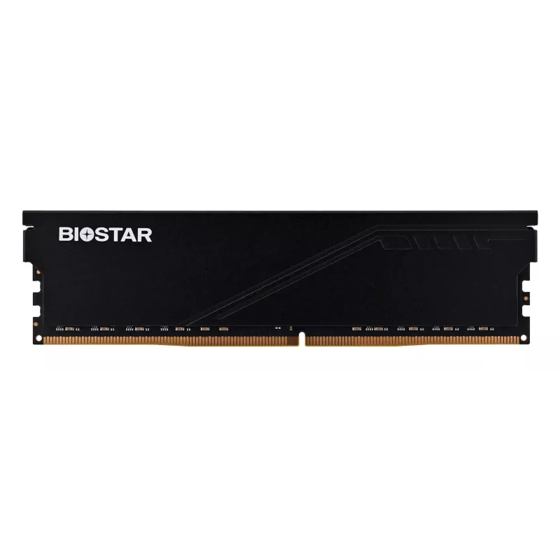Lauaarvuti DDR4 RAM BIOSTAR 16GB 3200MHz jahutusradiaatoriga (mudel DO32NU4H16)