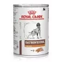 ROYAL CANIN Veterinary Diet Canine Gastrointestinal Low Fat - märg koeratoit - 420g