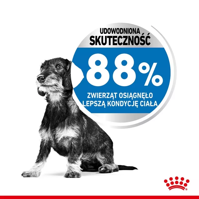 Royal Canin CCN MINI LIGHT WEIGHT CARE - kuivtoit täiskasvanud koertele - 3kg