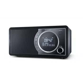 Sharp DR-450 digitaalraadio - must, isiklik, digitaalne, DAB, DAB+, FM, 87,5 - 108 MHz, 174,928 - 239,2 MHz, 3 W