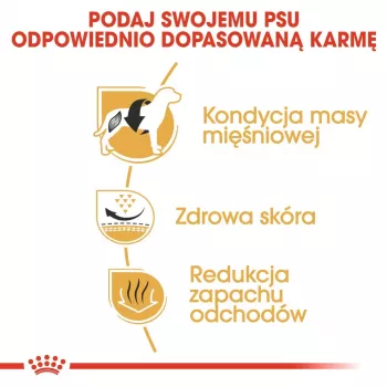 Kuiv koeratoit Royal Canin French Bulldog Adult 9 kg — sealiha, 26% valku, 18% rasva