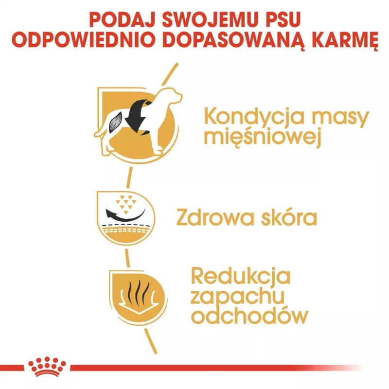 Kuiv koeratoit Royal Canin French Bulldog Adult 9 kg — sealiha, 26% valku, 18% rasva