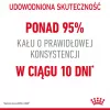 Kuiv kassitoit Royal Canin Digestive Care 4 kg — Täiskasvanud, linnuliha, seedimise toetamine