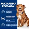 HILL'S PD Canine Derm Complete - märg koeratoit - 370g