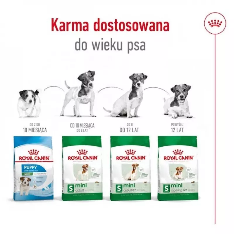 ROYAL CANIN Adult Mini S - kuiv koeratoit - 2 kg
