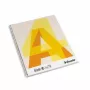 Spiraalkaal mõistekaartidega Esselte, A4/70, ruuduline, pehme kate 0722-101
