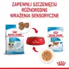 ROYAL CANIN SHN Mini Puppy kastmes - märg kutsikatoit - 12X85g