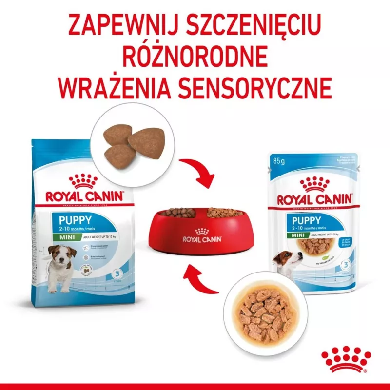 ROYAL CANIN SHN Mini Puppy kastmes - märg kutsikatoit - 12X85g