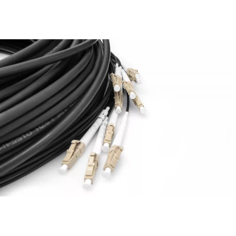 Breakout kaabel Digitus DK-2433CU030BK-BBB 30m OM4 12 Fibers LC/UPC