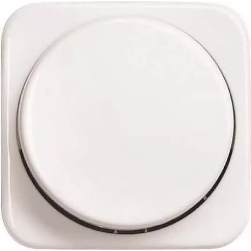 Busch-Jaeger Zentralscheibe alpinweiß f.UP-Drehdimmer 2115/11-214-500 (2CKA006599A3034)