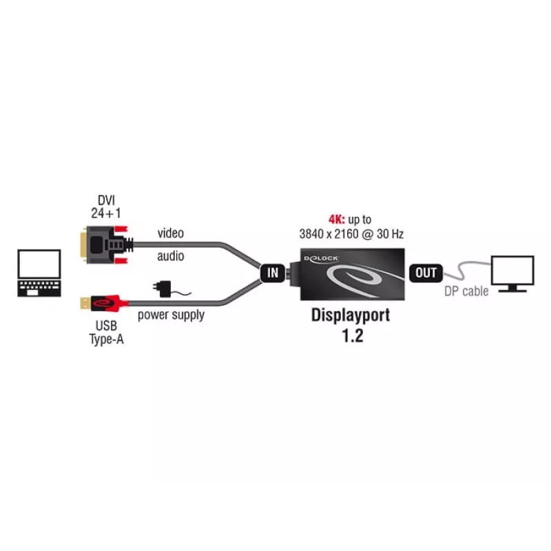 DVI-D 24+1 + USB-A / DisplayPort 20-kontaktiline kaabel DeLOCK 62596