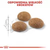Royal Canin Outdoor kuiv kassitoit 2 kg